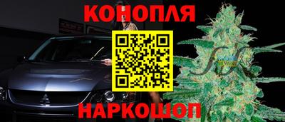 крисы Партизанск