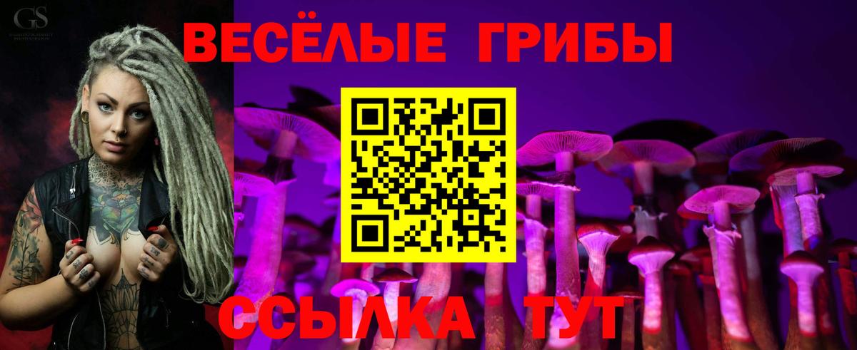 Галлюциногенные грибы Cubensis Советск