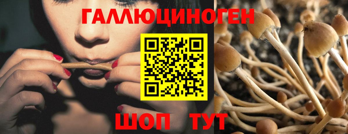 Галлюциногенные грибы мухоморы  Псилоцибиновые грибы мицелий  Советск  Вход с VPN 